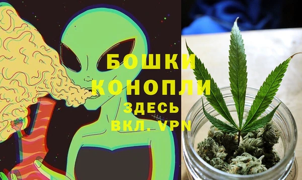 тгк Мегион