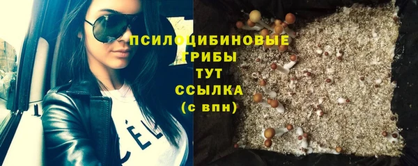 метадон Медногорск