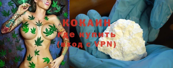 сатива Магас